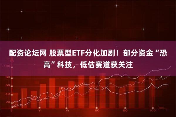 配资论坛网 股票型ETF分化加剧！部分资金“恐高”科技，低估赛道获关注