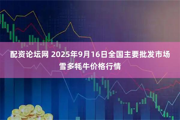 配资论坛网 2025年9月16日全国主要批发市场雪多牦牛价格行情