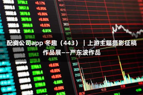 配资公司app 冬趣（443）｜上游主题摄影征稿作品展——严东波作品