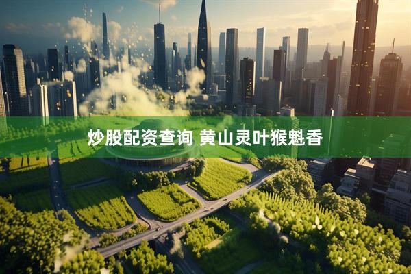 炒股配资查询 黄山灵叶猴魁香